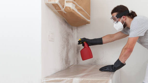 Professional Bathroom Mold Removal technician working in Ebony, VA