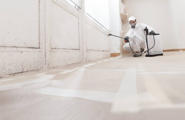 24/7 Emergency Bathroom Mold Removal experts in Ebony, VA